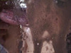 Pratinjau video