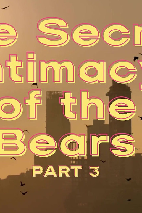 The Secret Intimacy of the Bears 3