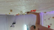 Pratinjau video