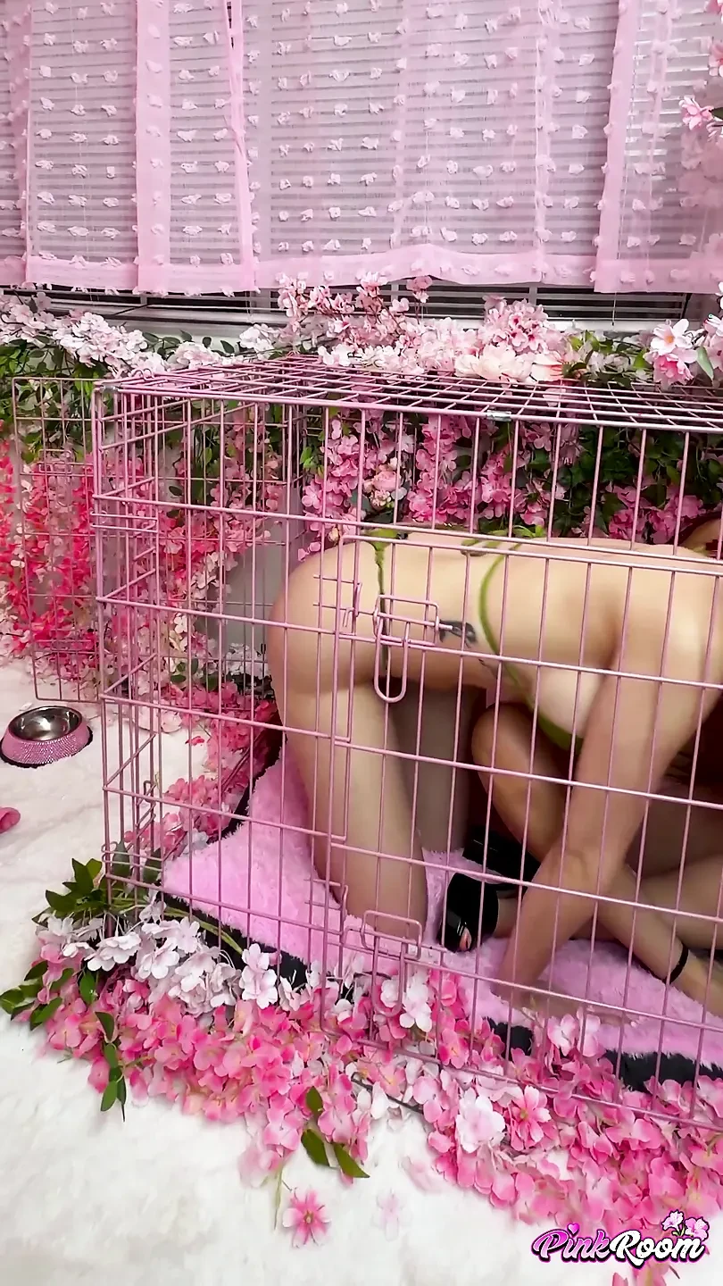 Porn Picture