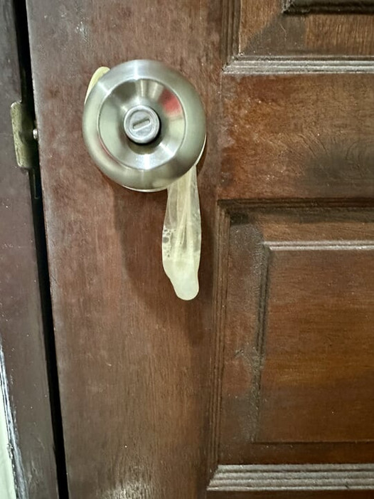 Saya baru mendapati bahawa onsen adalah untuk berkongkek hari ini.