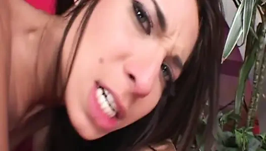 Arab Girl Liebt Es Deutsche Schwänze Zu Lutschen