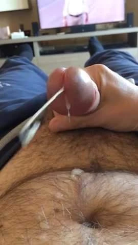 Juicy Bear Cum