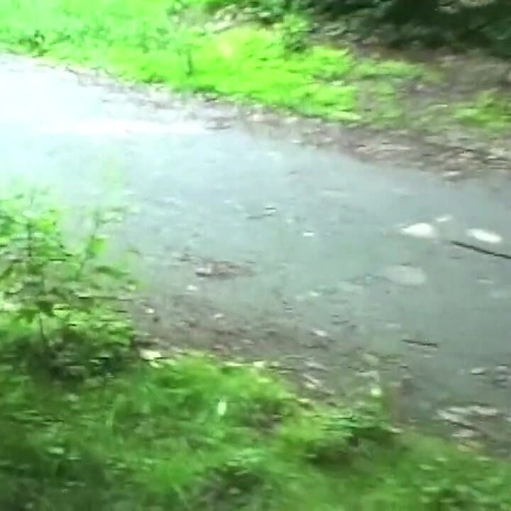 Amateur Inserts Cherry Deep Into Wet Pussy
