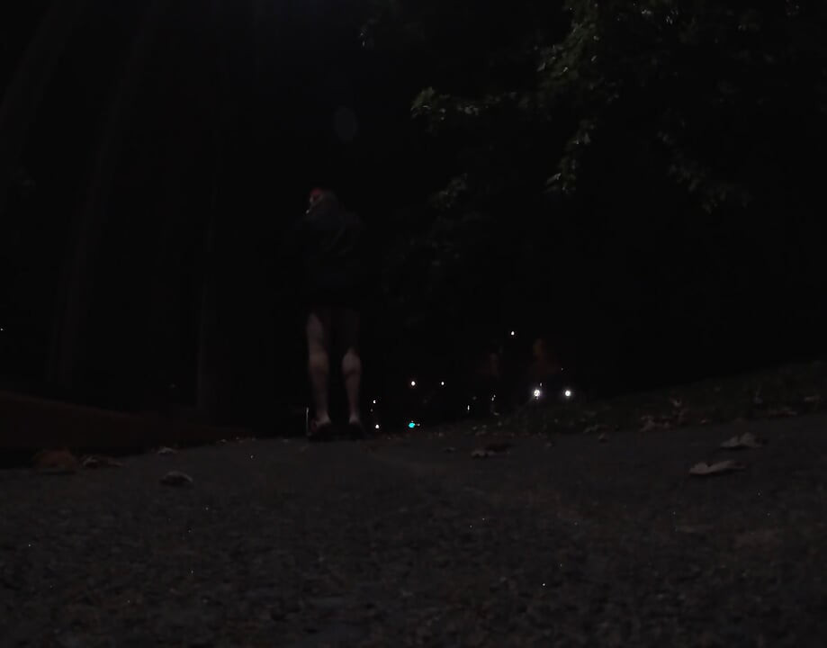 Transvestite Sissy whore is out and about at night .
