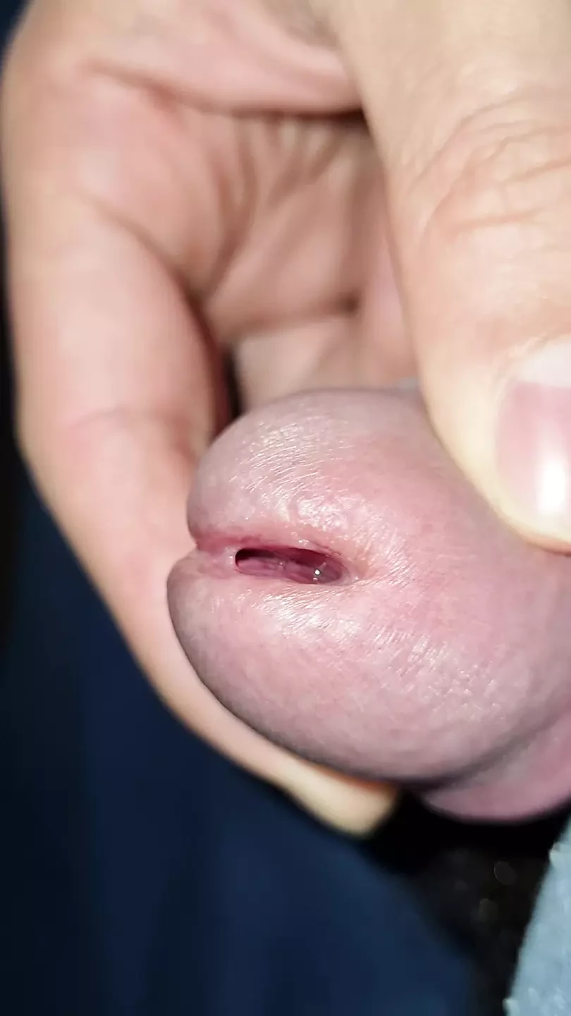Peluda dando um olá em uma punheta com pau duro