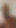 Intro video go guy hamsters website
