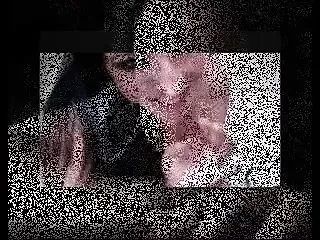 amatör yutmak derleme
