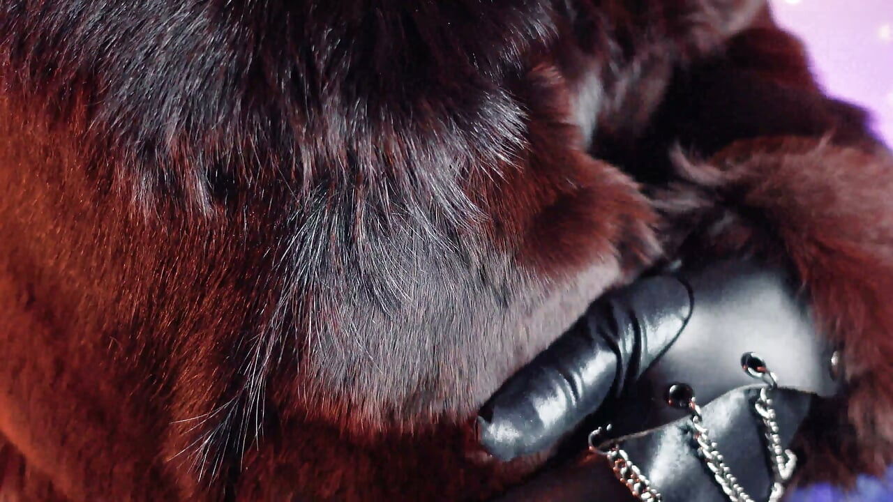 FUR FETISH video: beautiful Mistress tease and seduce. ASMR and JOI. Arya Grander.