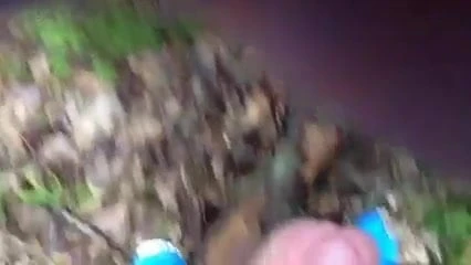Branle dans les bois
