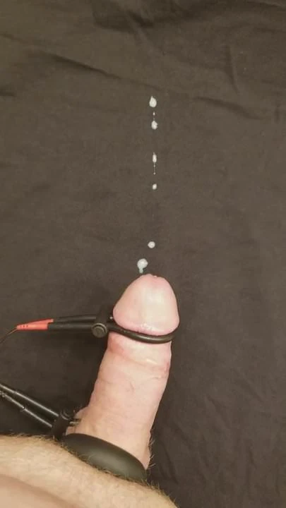 Estim kommt wieder