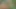 Hintli köylü seksi kız videomu sikiyorum.