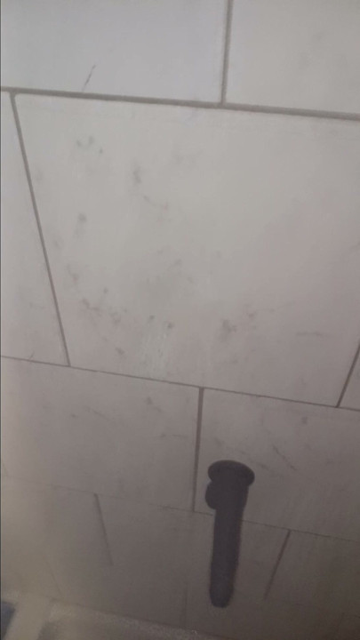 Shower fun