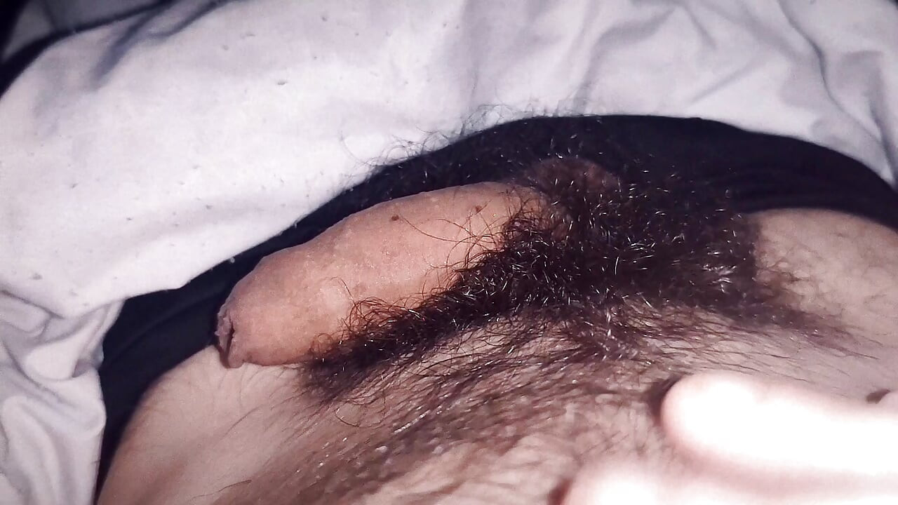 20歳のセクシーなツインクの毛深いペニスのマスターベーション