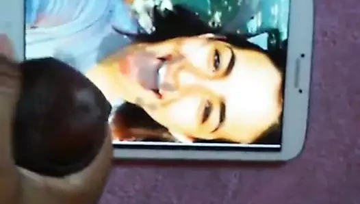 Alanna ustası (tara) eş