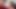 TRANSFIXED - Pretty Brunette Is Surprised With Christmas Wedding Proposal From Romantic Zariah Aura