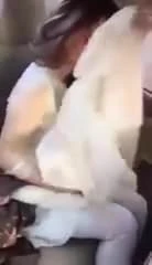 Pakistani Slut Neelam Muneer: Asian Asian Porn | xHamster