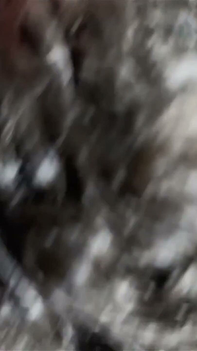Cheating | Clip 1