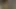 Webcam   looking for clients. Dollar for fuck