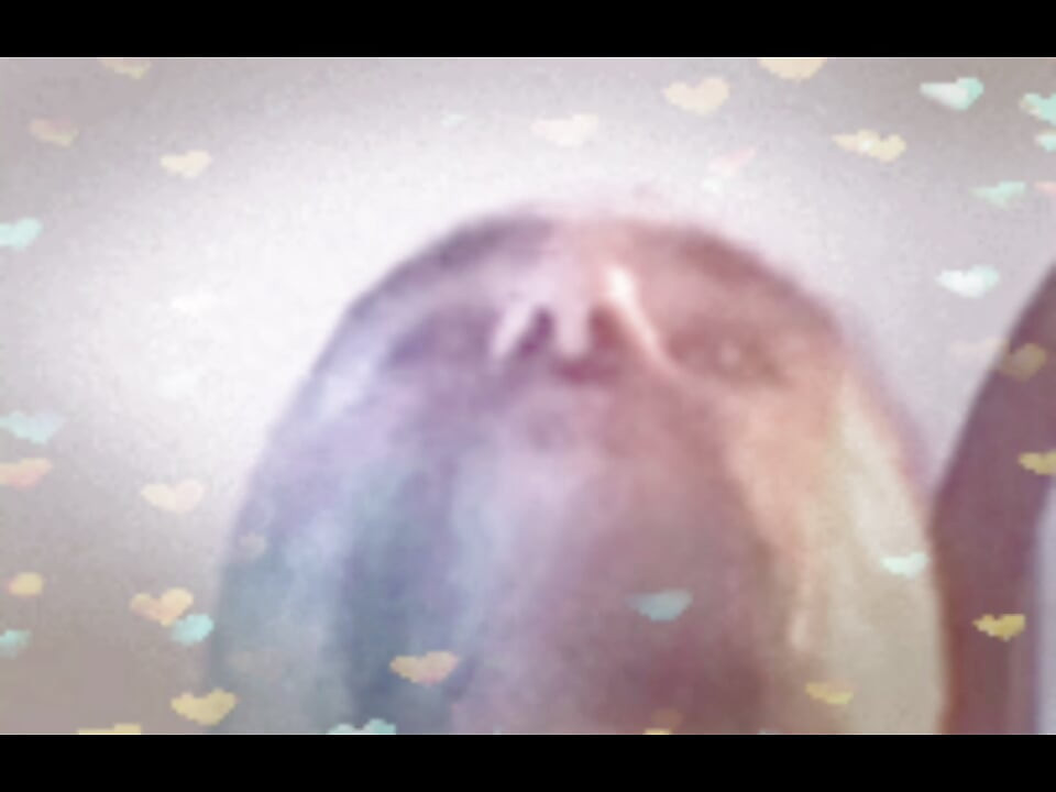 XXX Anal Time