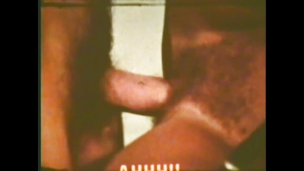 Máy kích thích lợn