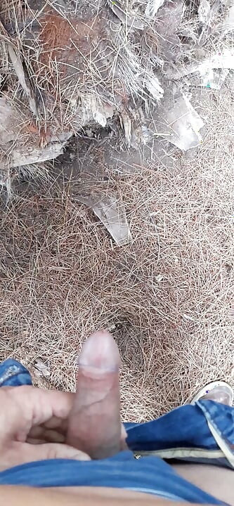 Pee in the park with my whole cock