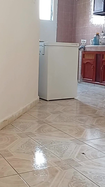 Key moment from "I left the cell phone recording while the lady did the cleaning in apartment 3"