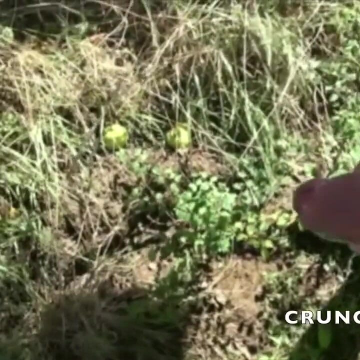 Exhib sex experience with straight boys curious