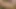 Dildo damlayan ıslak amcık orgazmının dibine kadar sikiliyor