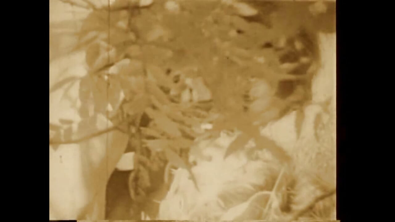 On the Grass Burning Foliage