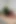 Lezbiyenlerin sahne arkası, yumuşak kadın egemenliği ve yüze oturma homevideo