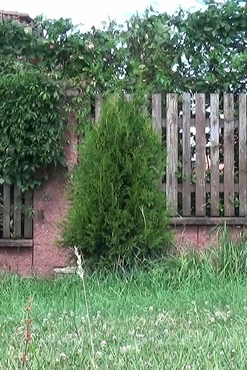 Close to Airport by Got2Pee where girls come to piss