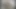 Gerçekten büyük bir horoz almadan önce seni eğitmemiz gerekiyor.