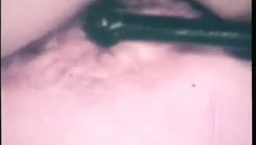 Semua di dalam pantatku