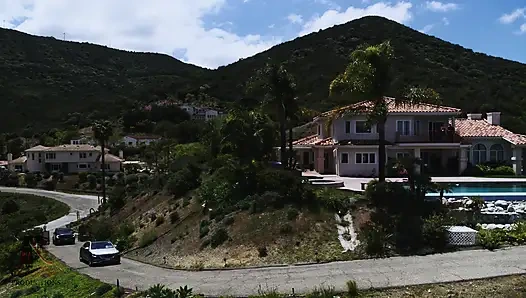 Schatten Des Vertrauens