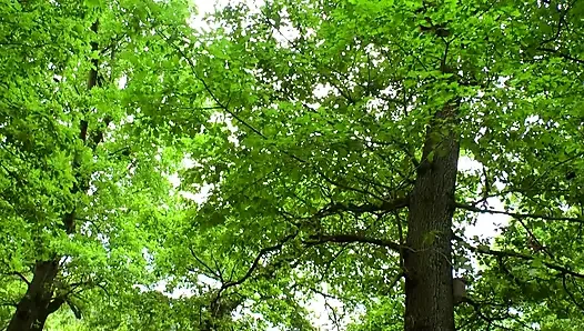 Bintang seks jerman pirang liar dp fuck fest