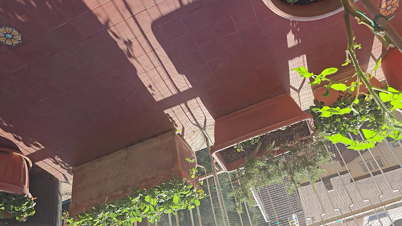 Men Jerking Outside Near Palace