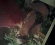tribute analisse