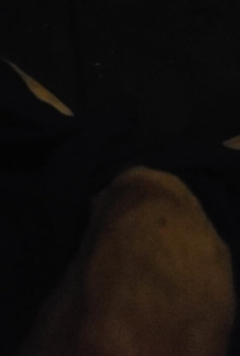 Gloryhole suger en gammel fed mands pik