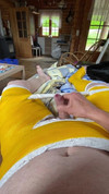 Pregled videozapisa