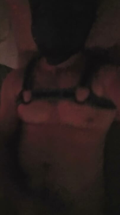 Pup jerking off his hard cock