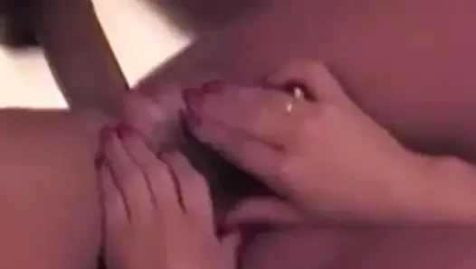 Timmy'nin vahşi la macerası