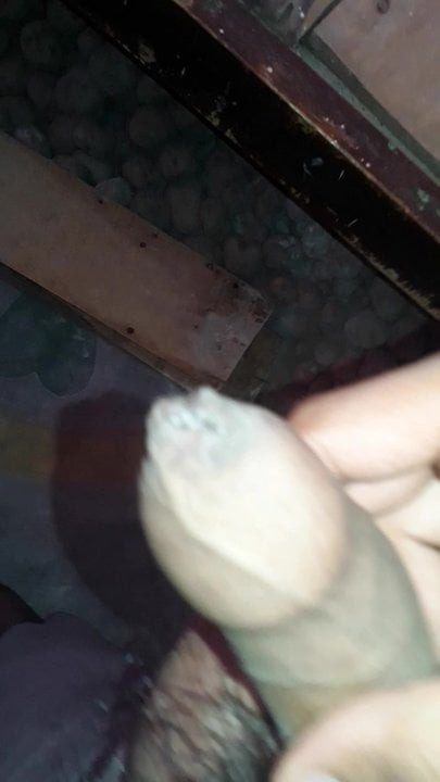 Khgk