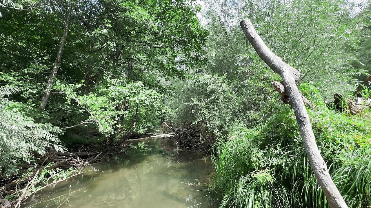 Sexo Molhado ao Ar Livre no Rio: POV de Quatro, Cowgirl e Gozada Bagunçada na Barriga - Casal Amador Real