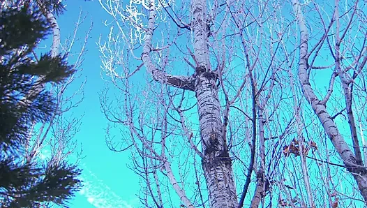 Marvelous babe with big tits gets screwed outdoors