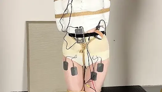 Limit Electric Shock and Voice-controlled Electric Shock Penalty Standing