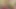 Güzel travesti ile rüyalar gerçek oluyor