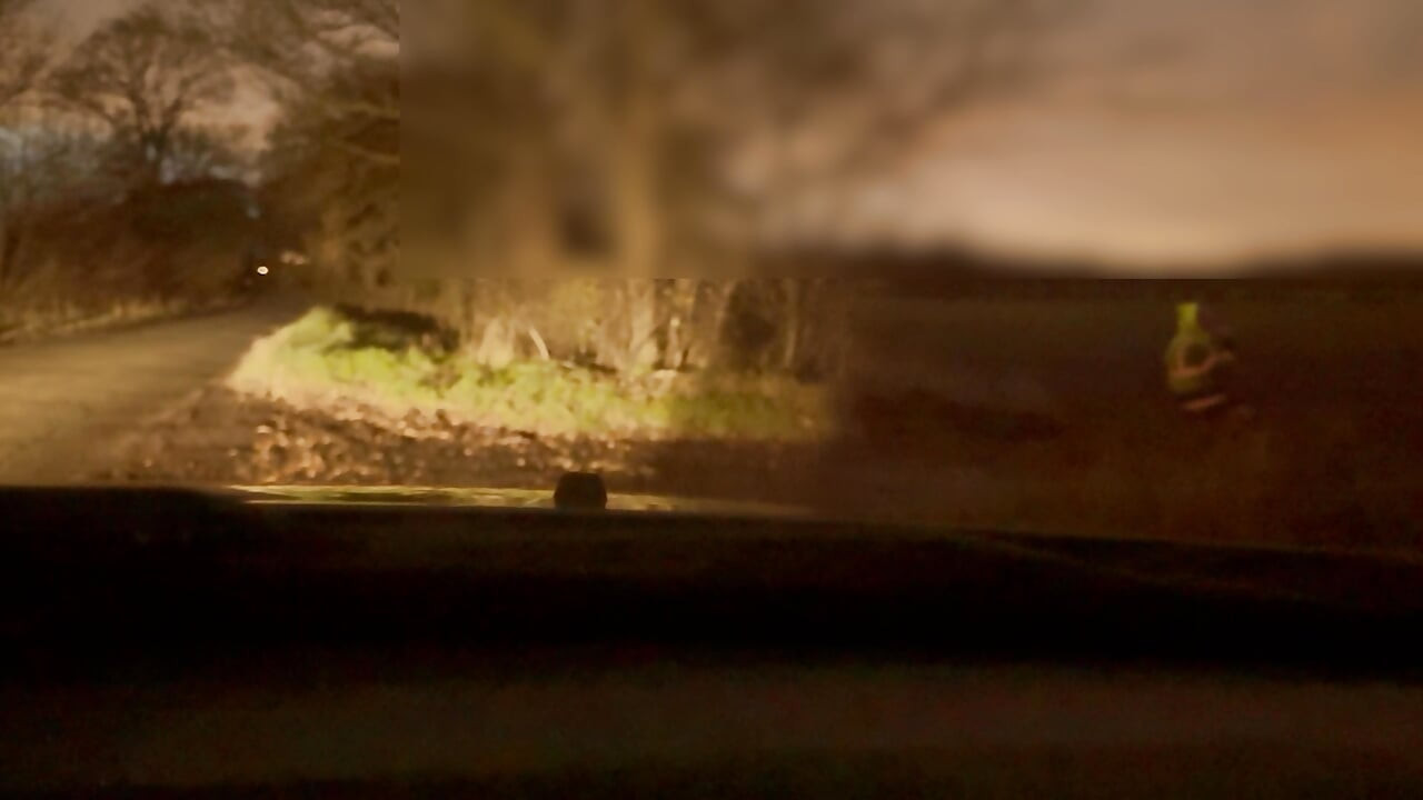 只穿着长外套离开汽车，在经过的汽车之间赤身裸体