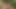 Big ass in tight leggings rides through the woods on a bike and ends up sucking and fucking outdoors with her huge ass