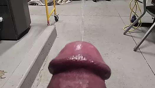 Spitting cobra